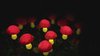 GlowShroom – Solar Magic Mushroom Lights 🌙🍄
